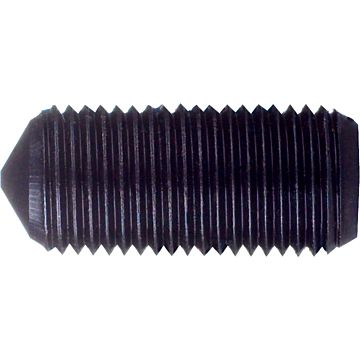 Clamping screws Torx