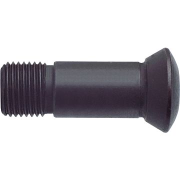 Clamping screws Torx