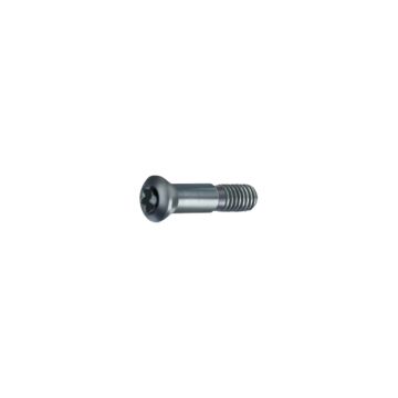 Clamping screws Torx