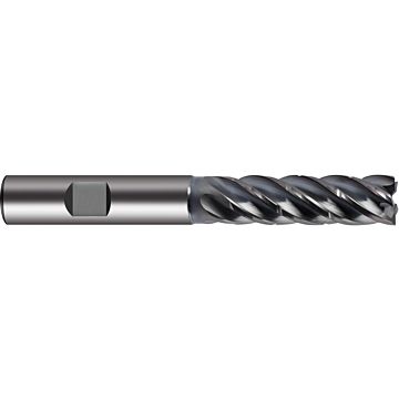 Ratio end mills RF 100 5 Speed Ratio end mills RF 100 5 Speed