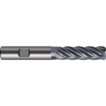 Ratio end mills RF 100 5 Speed Ratio end mills RF 100 5 Speed